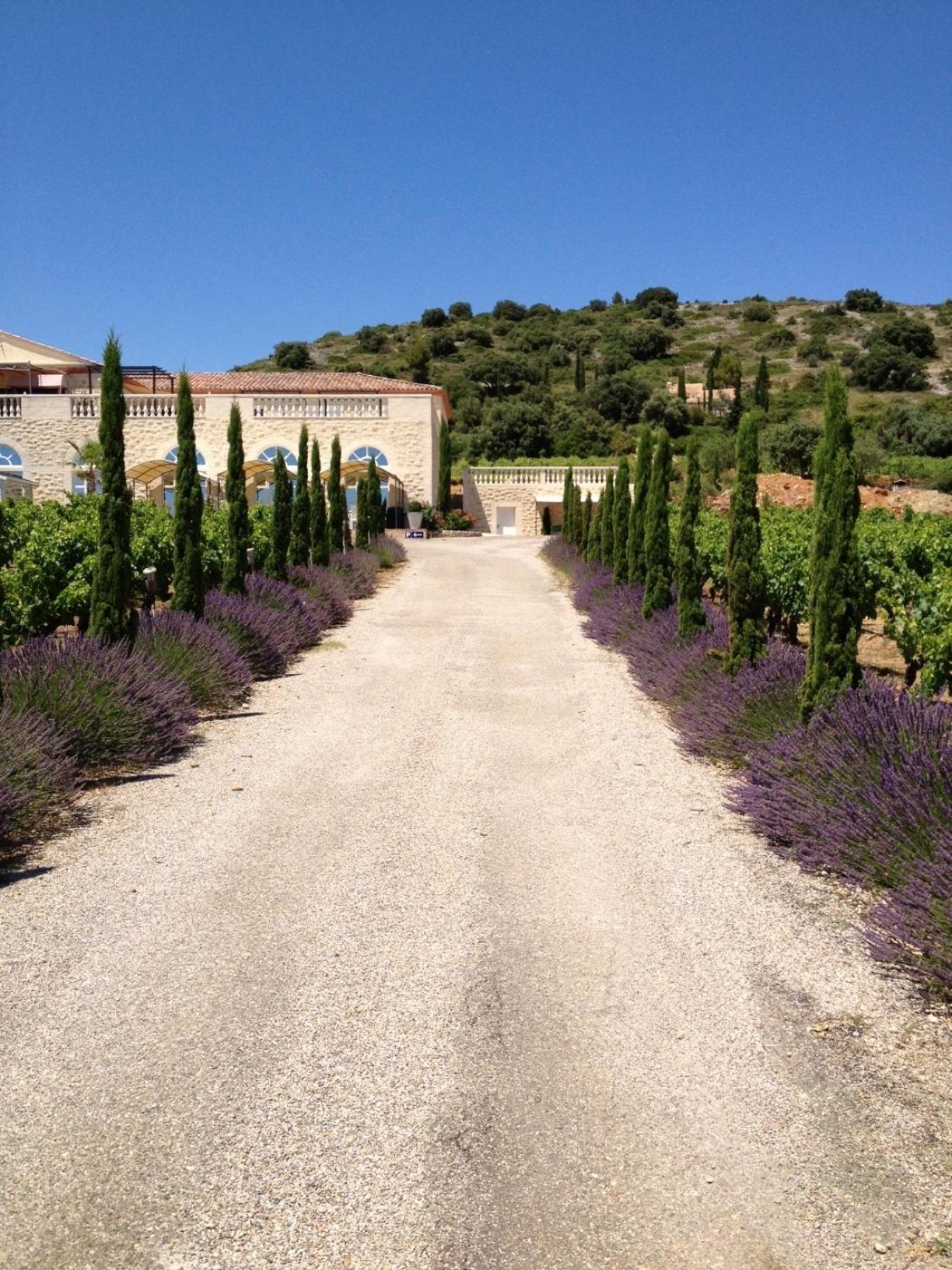 Bed and Breakfast Chateau De Valloubiere Saint-Jean-de-Fos Exterior foto