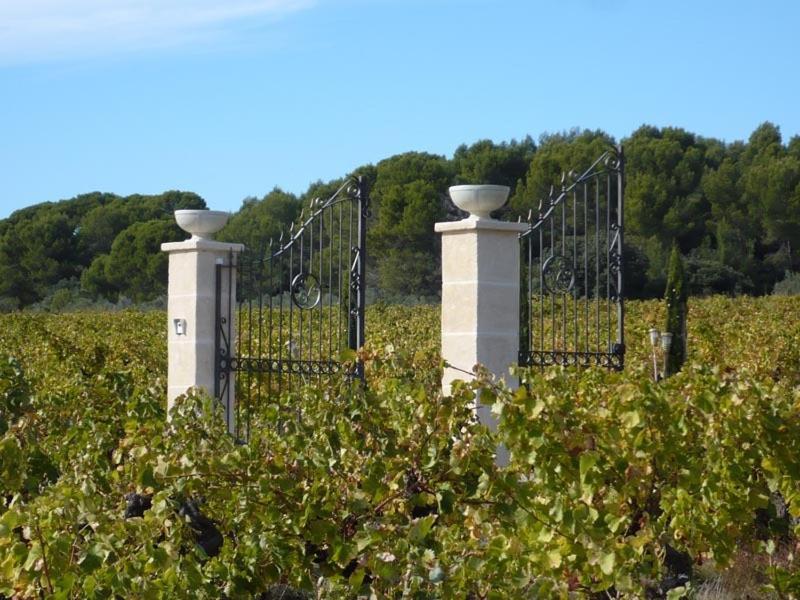 Bed and Breakfast Chateau De Valloubiere Saint-Jean-de-Fos Exterior foto