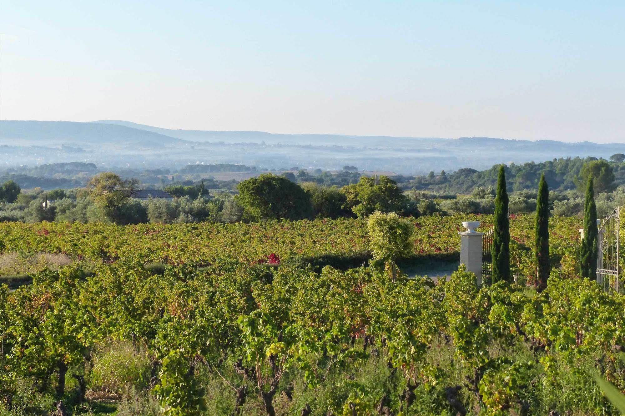 Bed and Breakfast Chateau De Valloubiere Saint-Jean-de-Fos Exterior foto