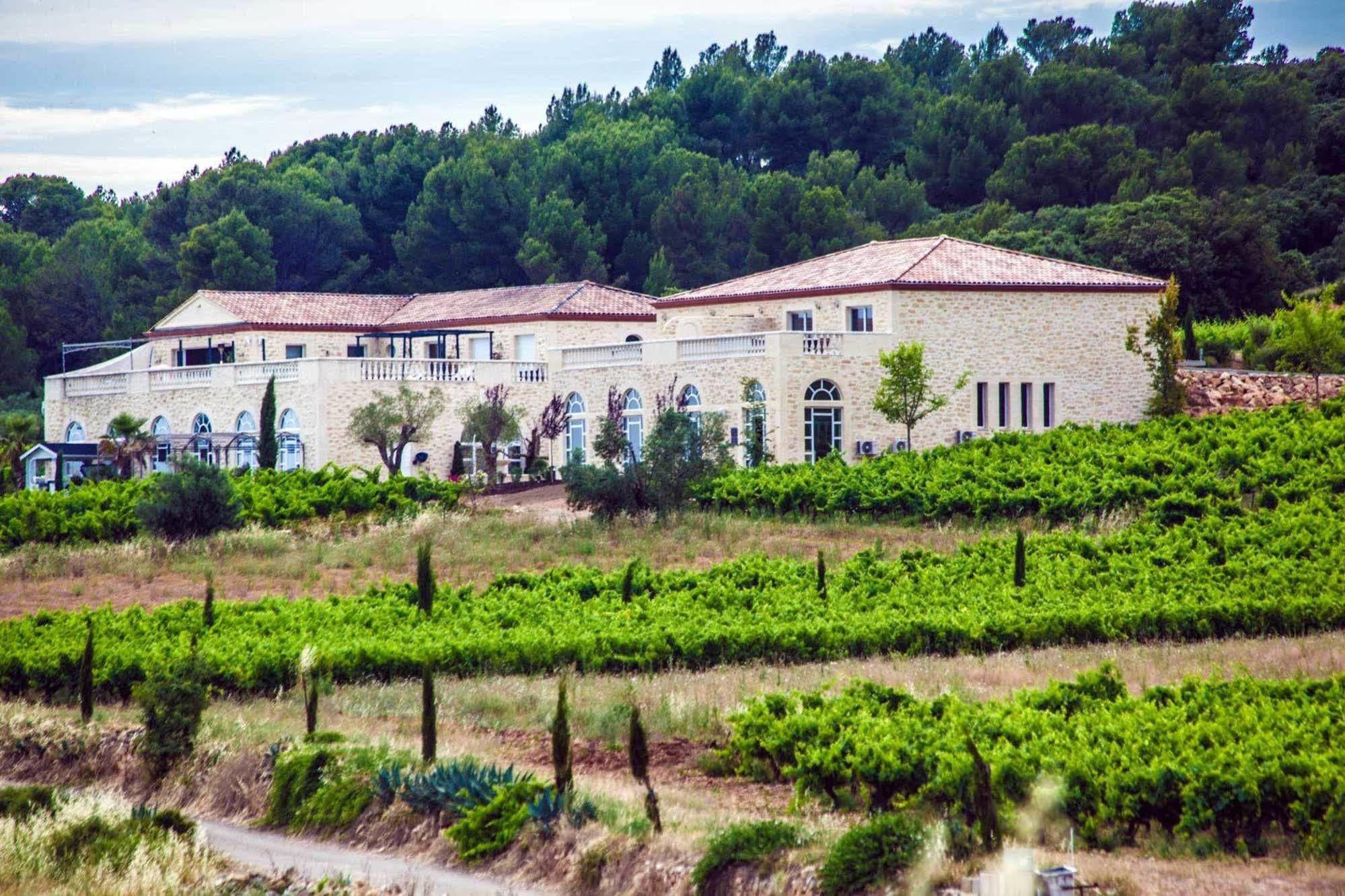 Bed and Breakfast Chateau De Valloubiere Saint-Jean-de-Fos Exterior foto